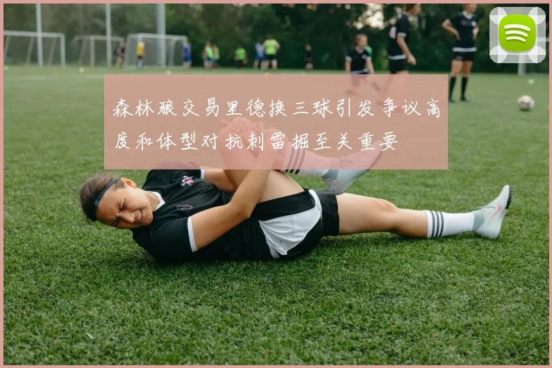 森林狼交易里德换三球引发争议高度和体型对抗刺雷掘至关重要